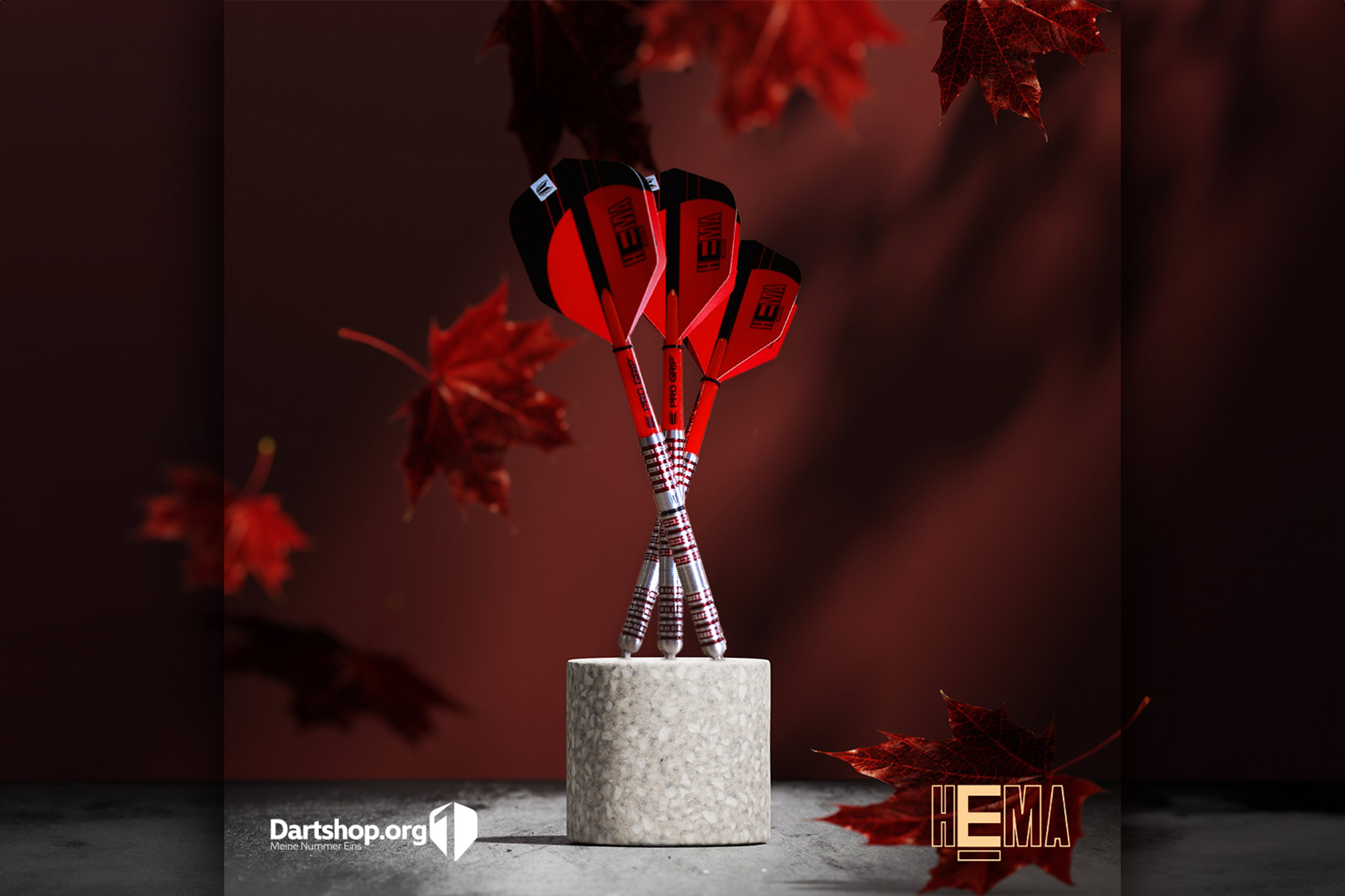 Dartshop_Referenzen_2160x1440_effdesign_Bild01