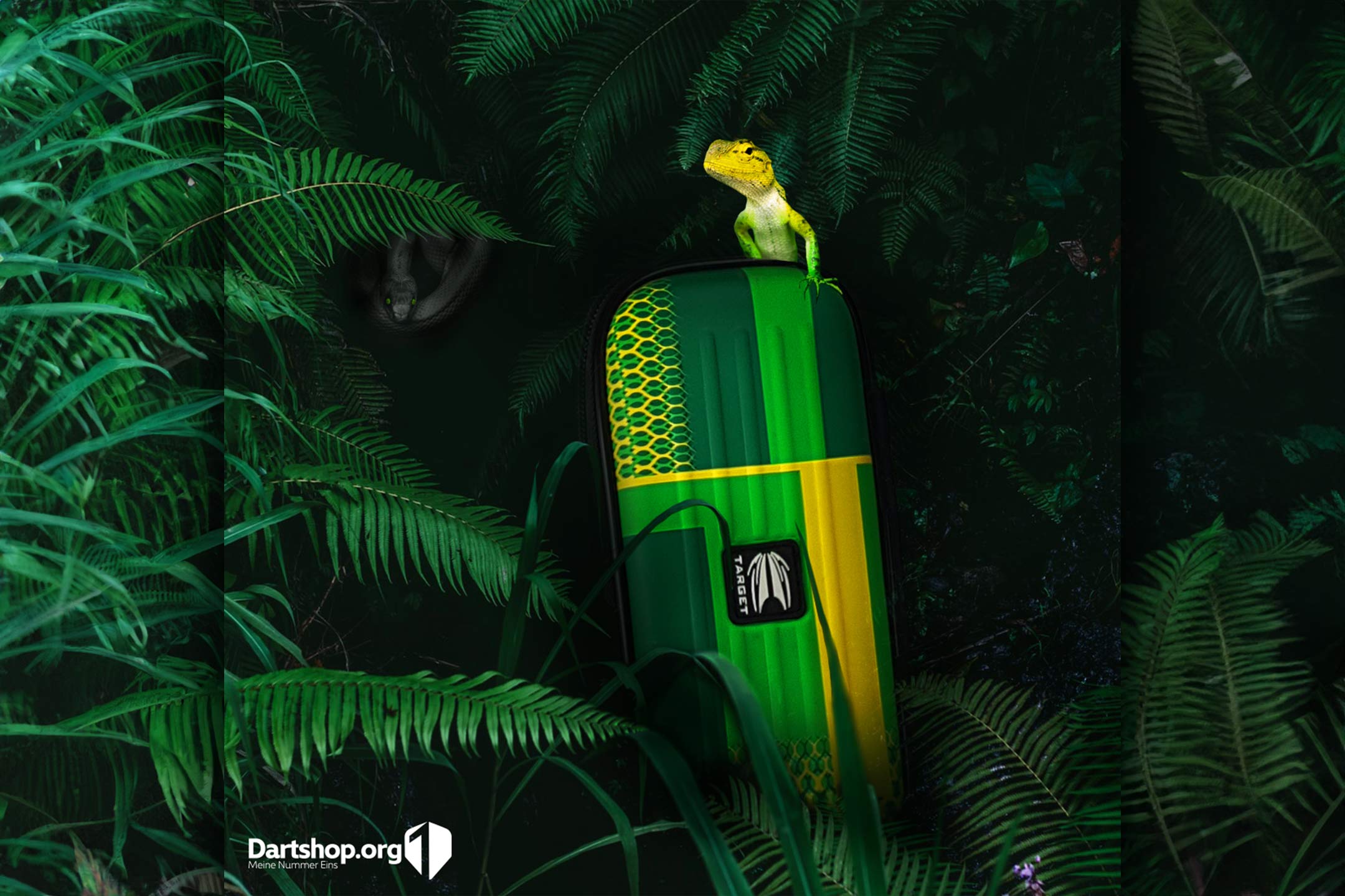 Dartshop_Referenzen_2160x1440_effdesign_Bild03