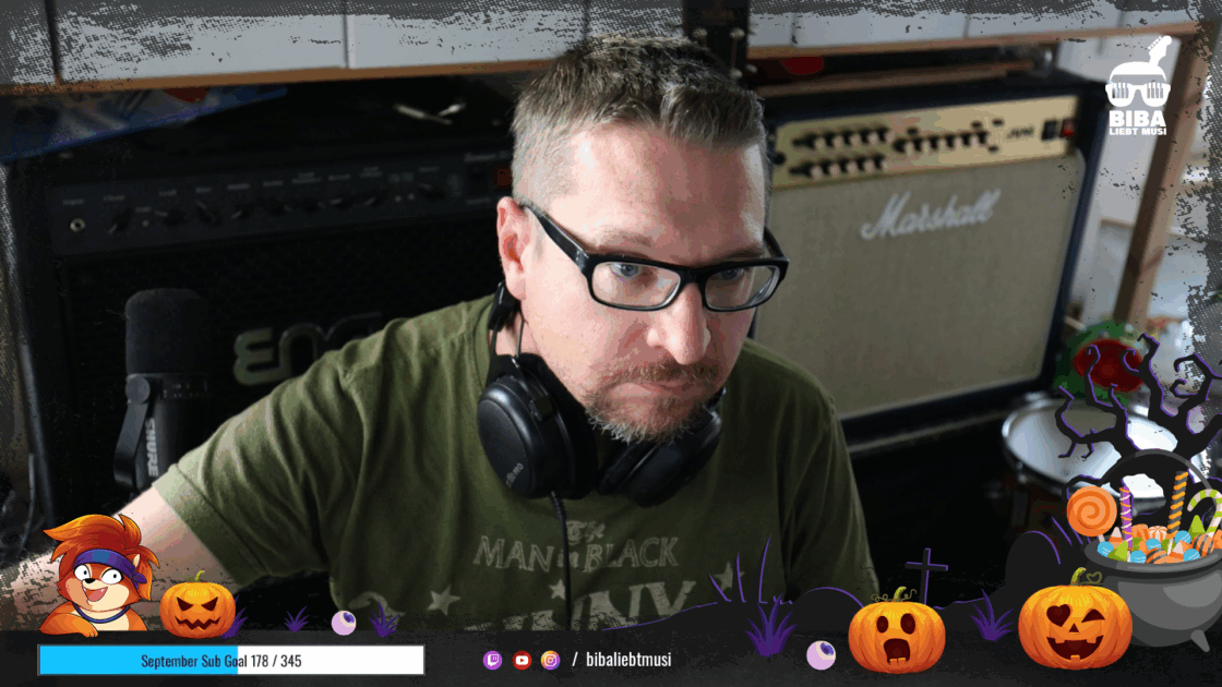 Stream Overlay für Twitch-Streamer und Musiker: BibaliebtMusi
